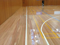 Sports Floors